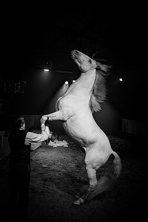 20171004_Cain-Abel-0252